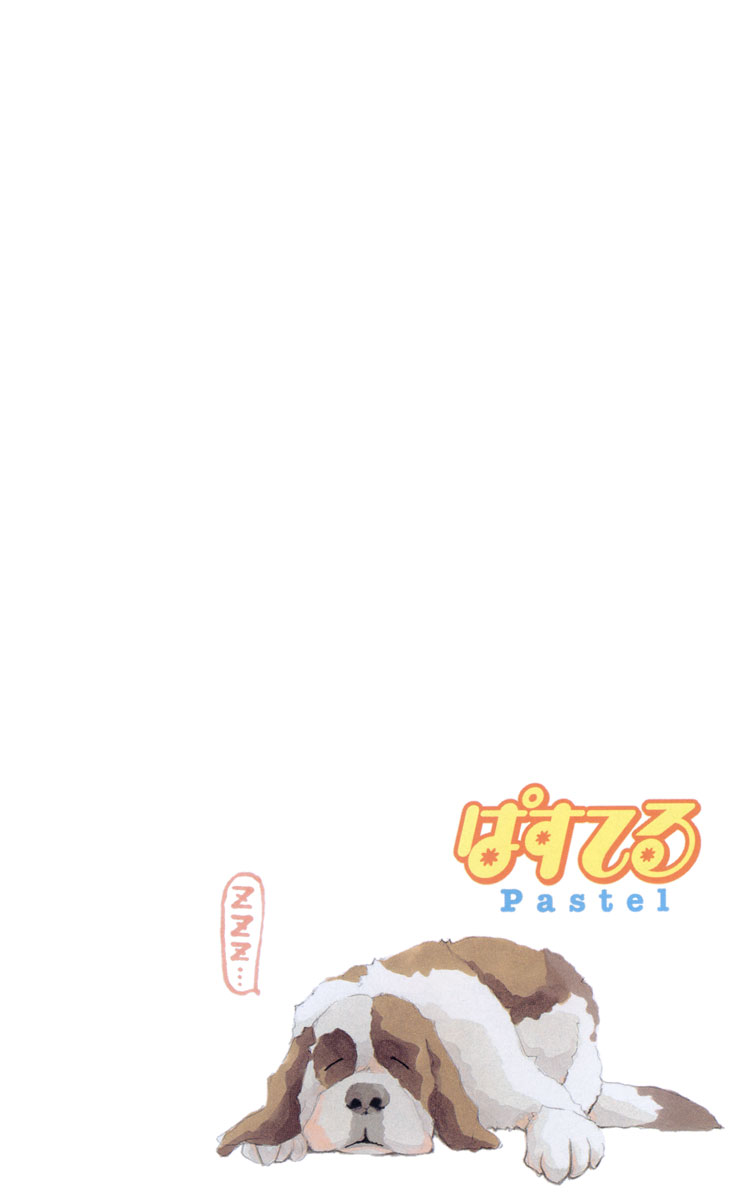 Pastel 第5页