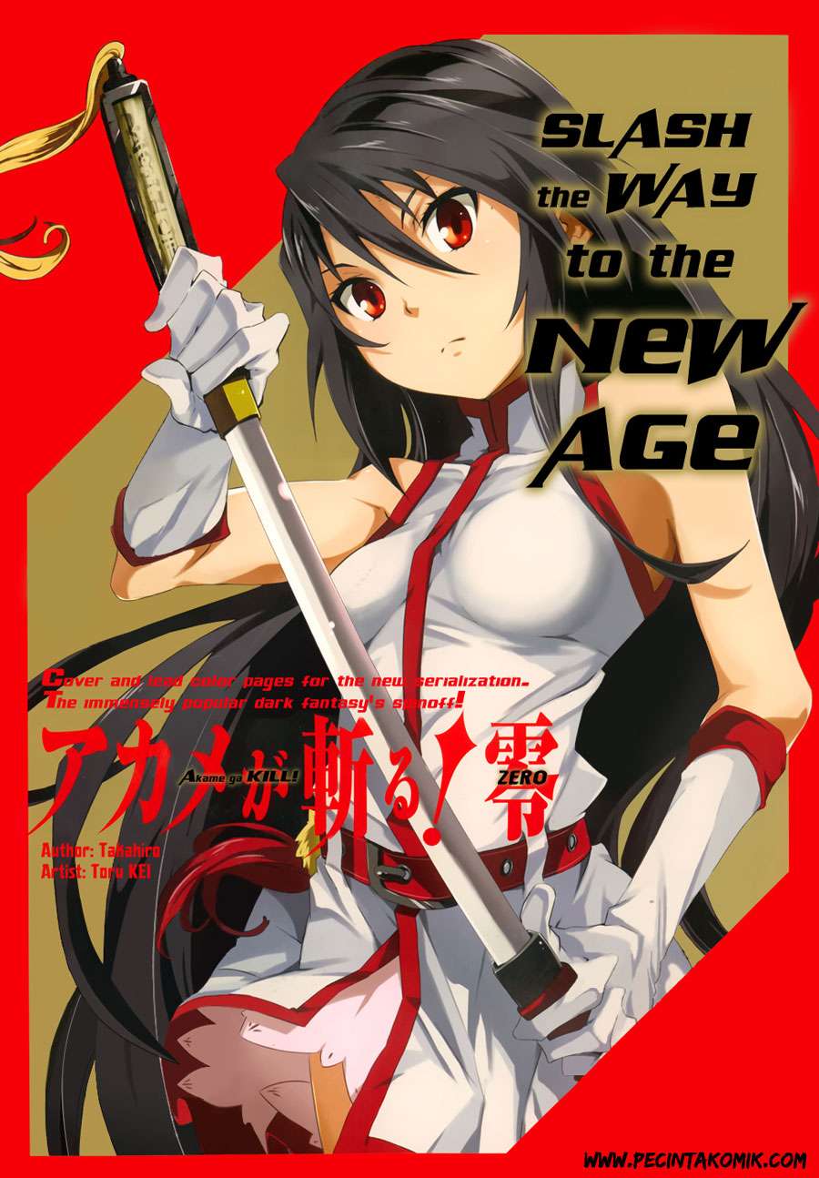 Akame ga KILL! Zero Dua Gadis 第2页
