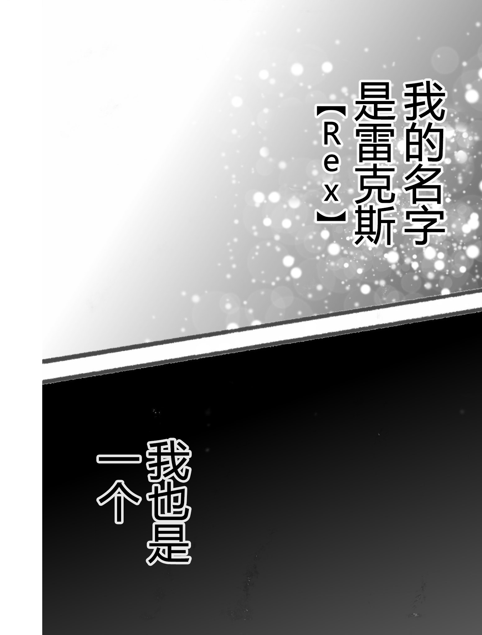 Dog Nigga 我的背景故事 第4页