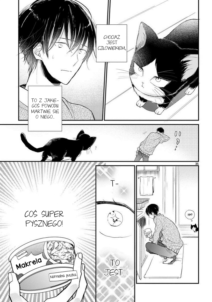 My Roommate Is a Cat Rozdział 1 第36页