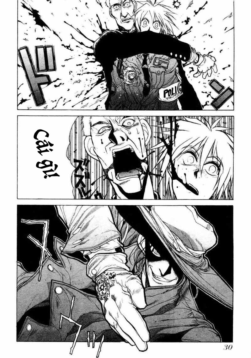 Hellsing Thợ săn Ma cà rồng 第29页