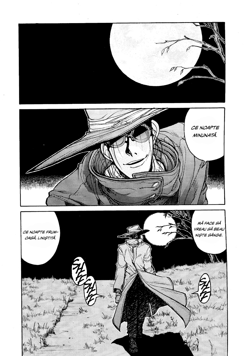 Hellsing Vânător de vampiri 第15页