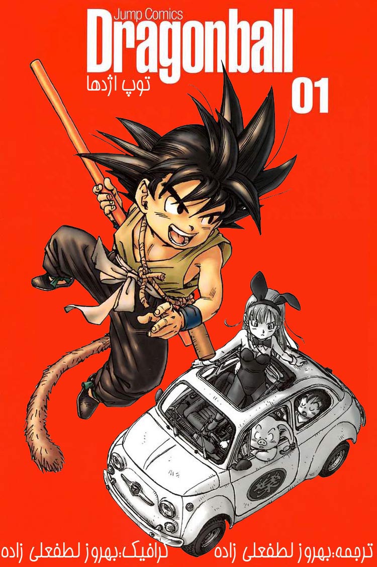 Dragon Ball 第1页