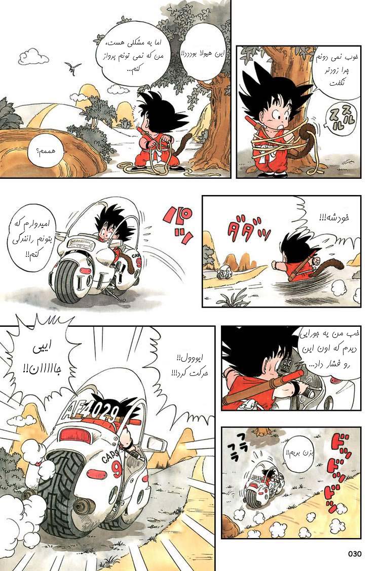 Dragon Ball Vol. 1 Ch. 1 第29页