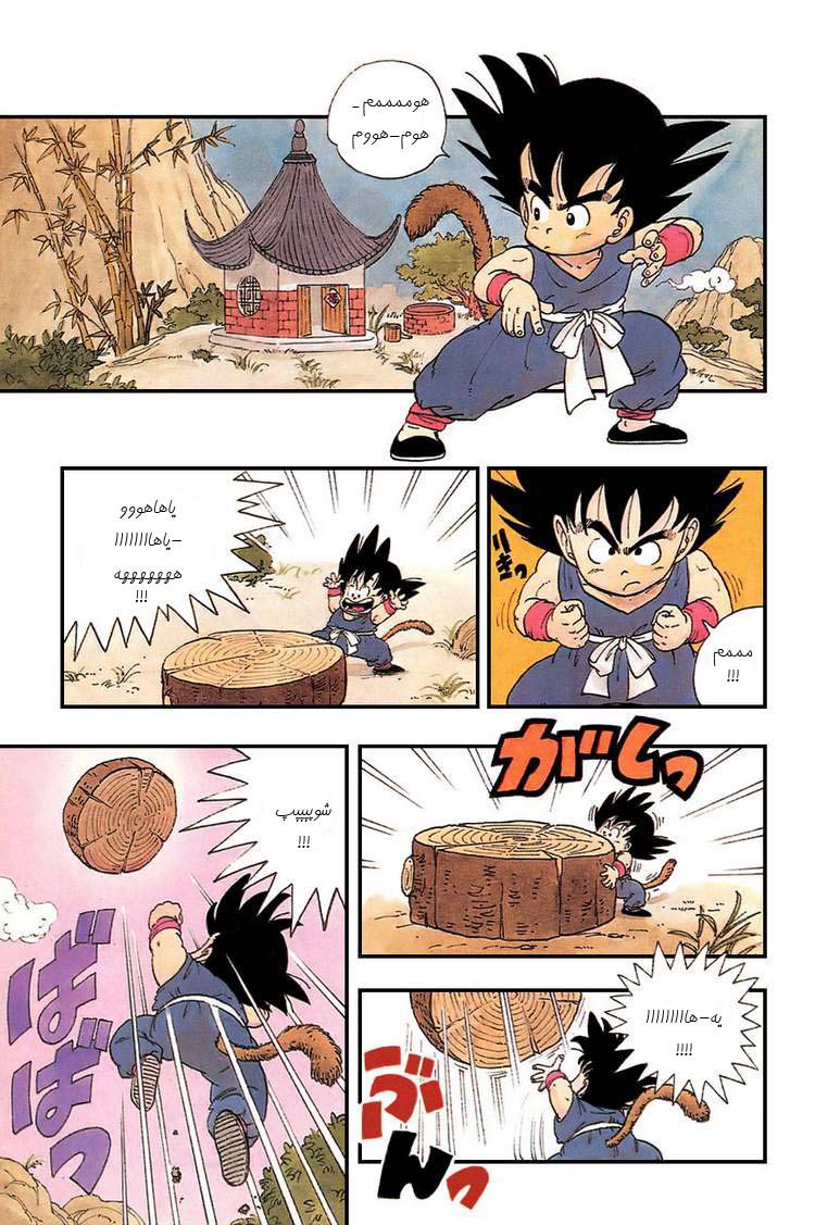 Dragon Ball 第4页