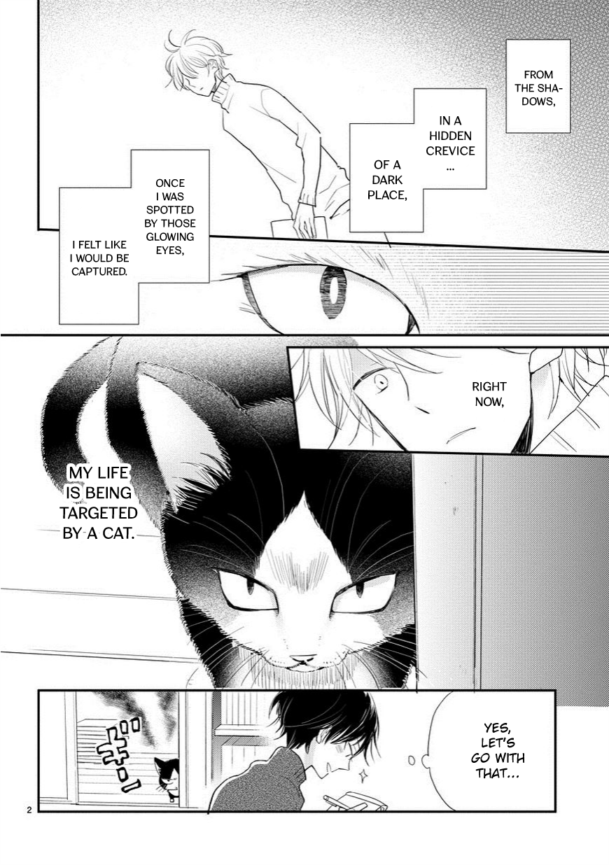 My Roommate Is a Cat 第3页