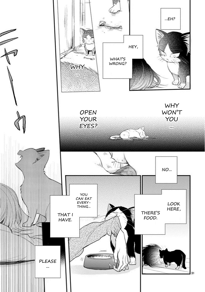 My Roommate Is a Cat An Encounter With the Unknown 第32页