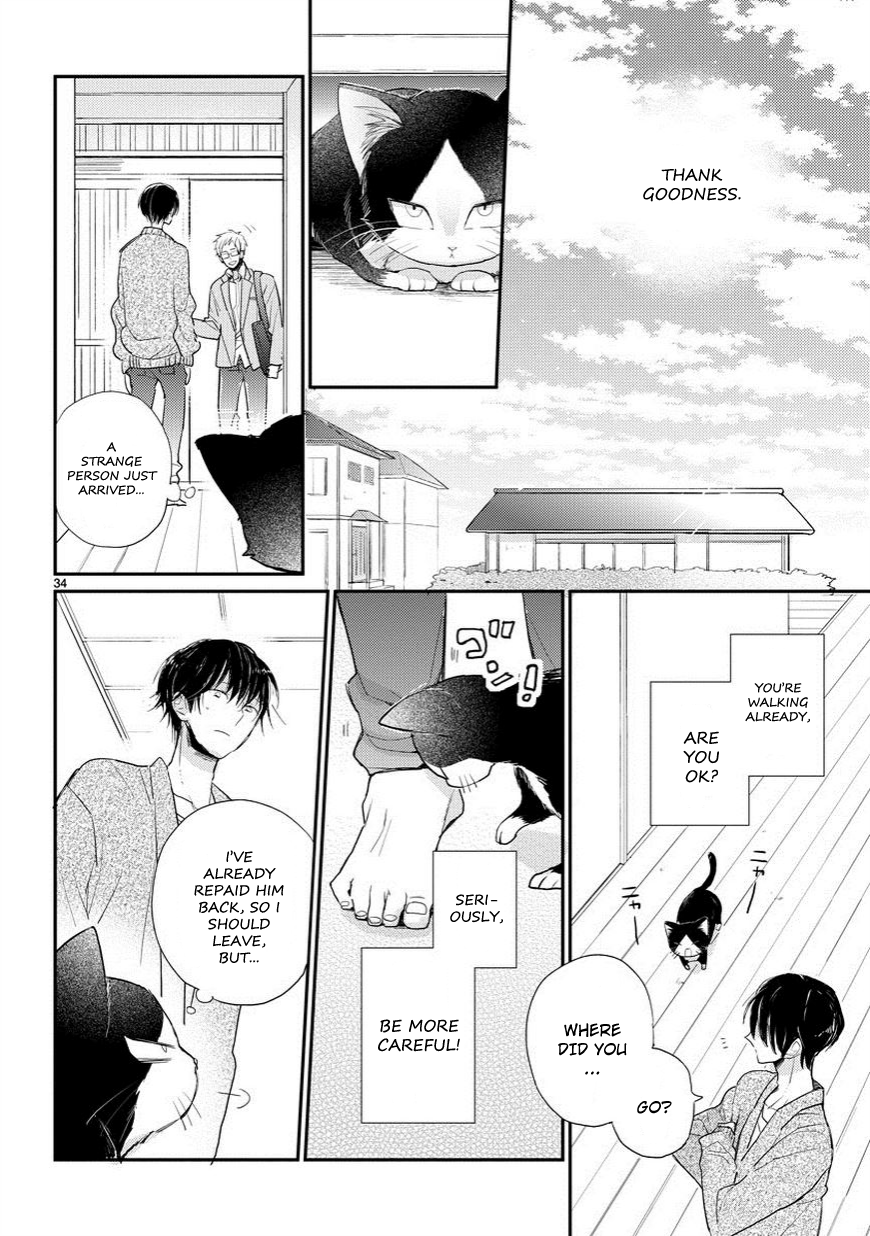 My Roommate Is a Cat An Encounter With the Unknown 第35页