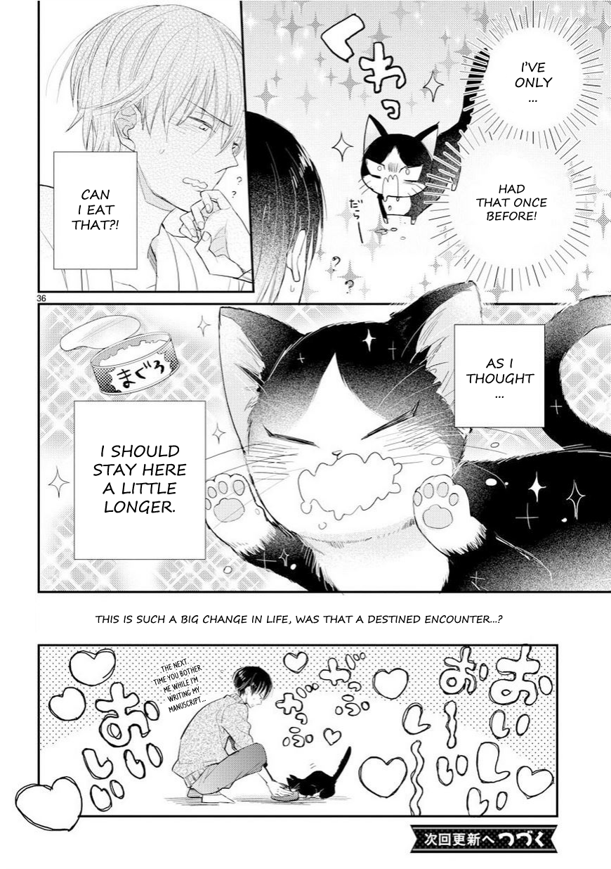 My Roommate Is a Cat An Encounter With the Unknown 第37页