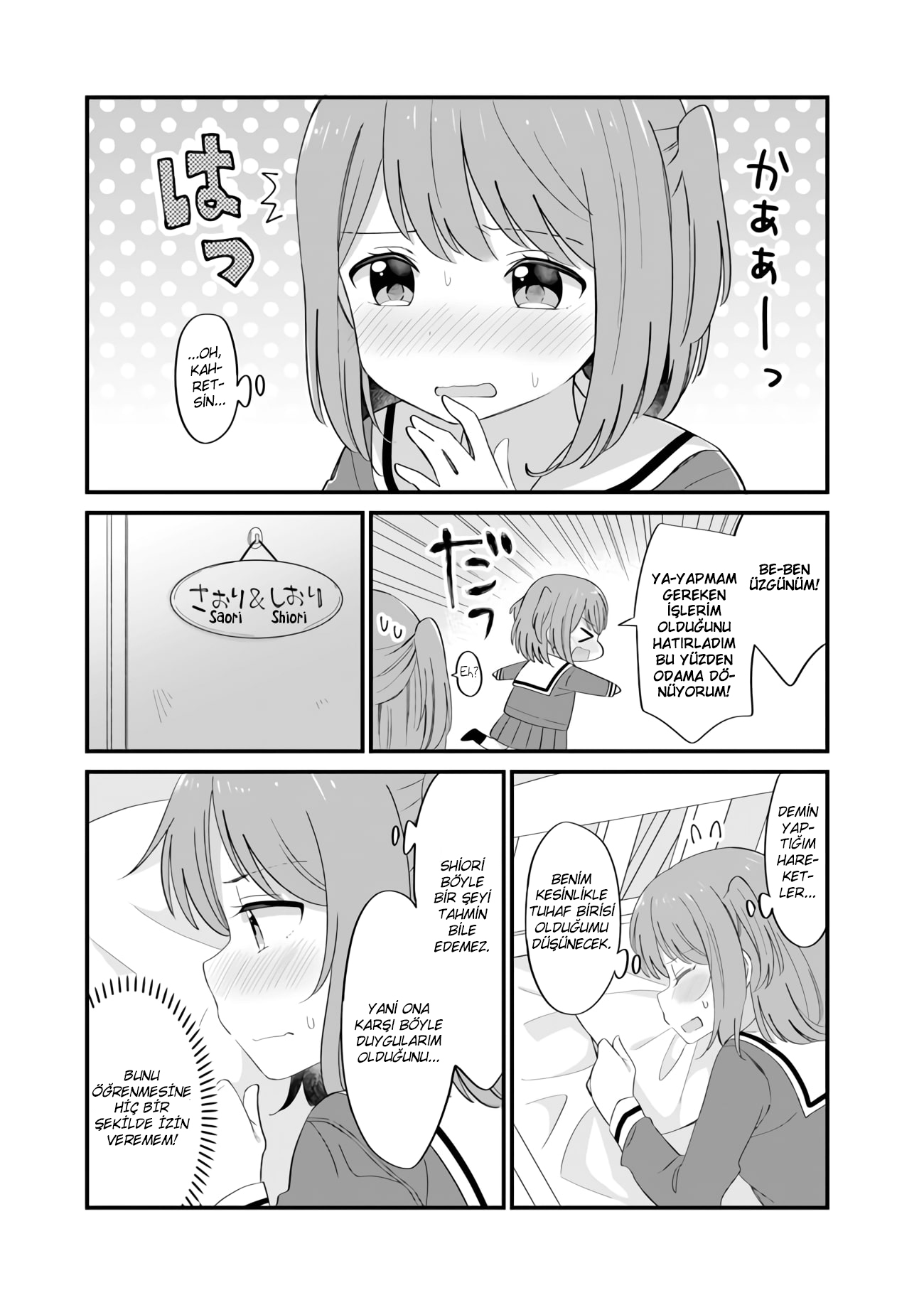 Mutually Unrequited Twin Sisters 第8页