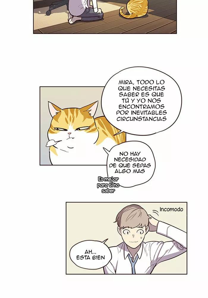 Eleceed Ch. 2 第19页