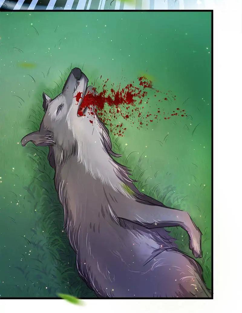 Beauty and the Beasts Vol. 1 Ch. 1 第24页