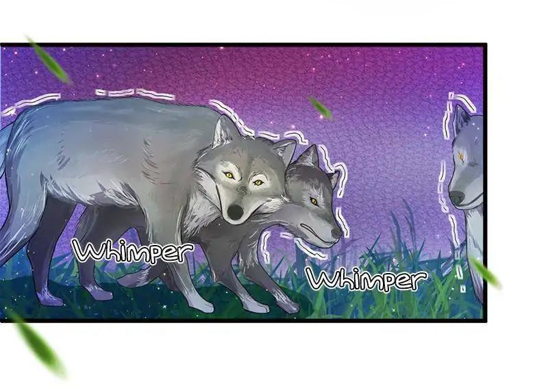 Beauty and the Beasts Vol. 1 Ch. 1 第25页