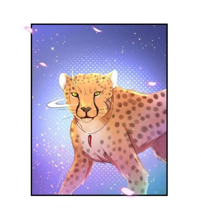 Beauty and the Beasts Vol. 1 Ch. 1 第29页