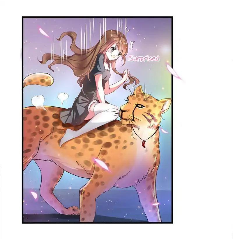 Beauty and the Beasts Vol. 1 Ch. 1 第61页