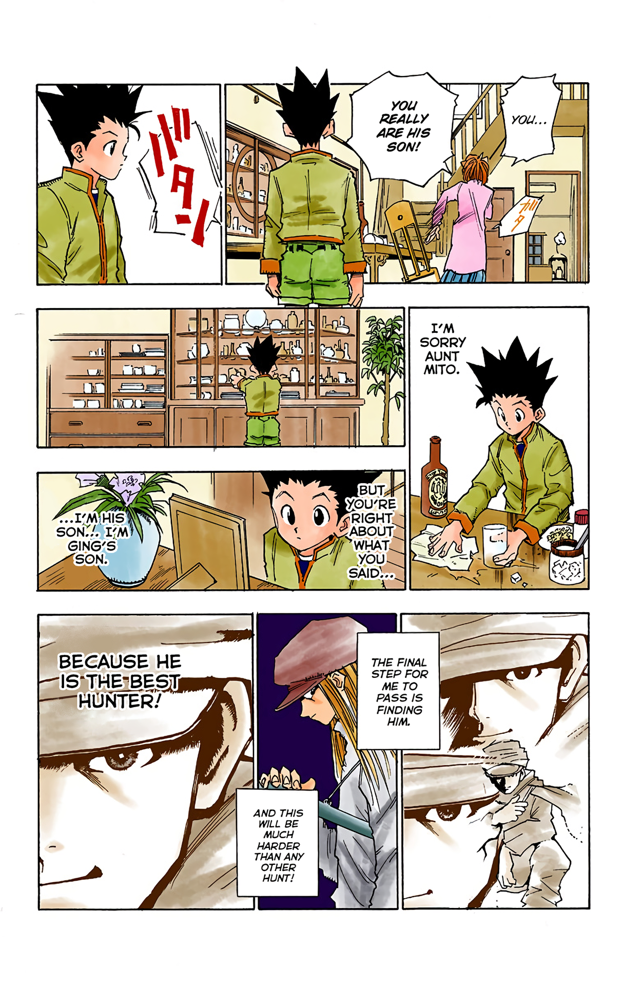 Hunter x Hunter (Official Colored) The Day of Departure 第30页