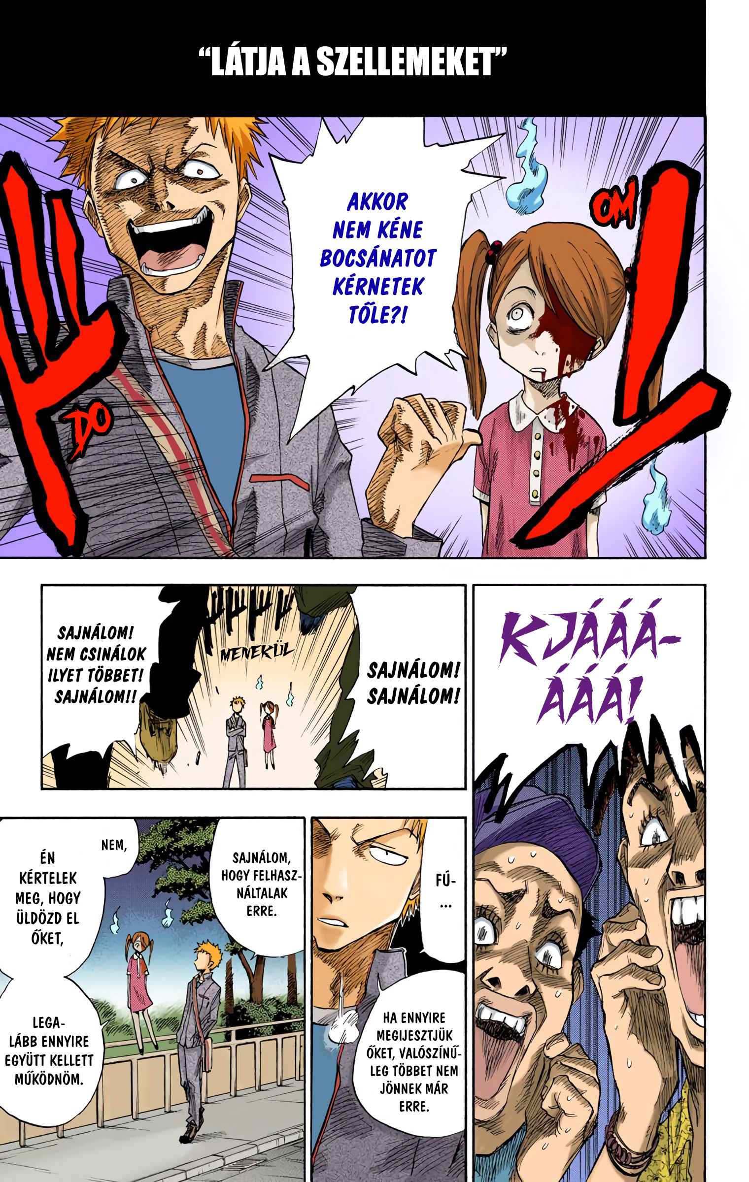 Bleach (Official Colored) Halál&Eper 第11页