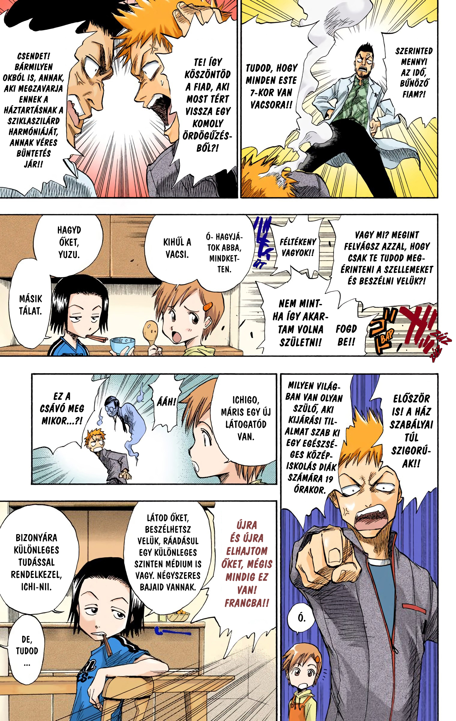 Bleach (Official Colored) Halál&Eper 第13页