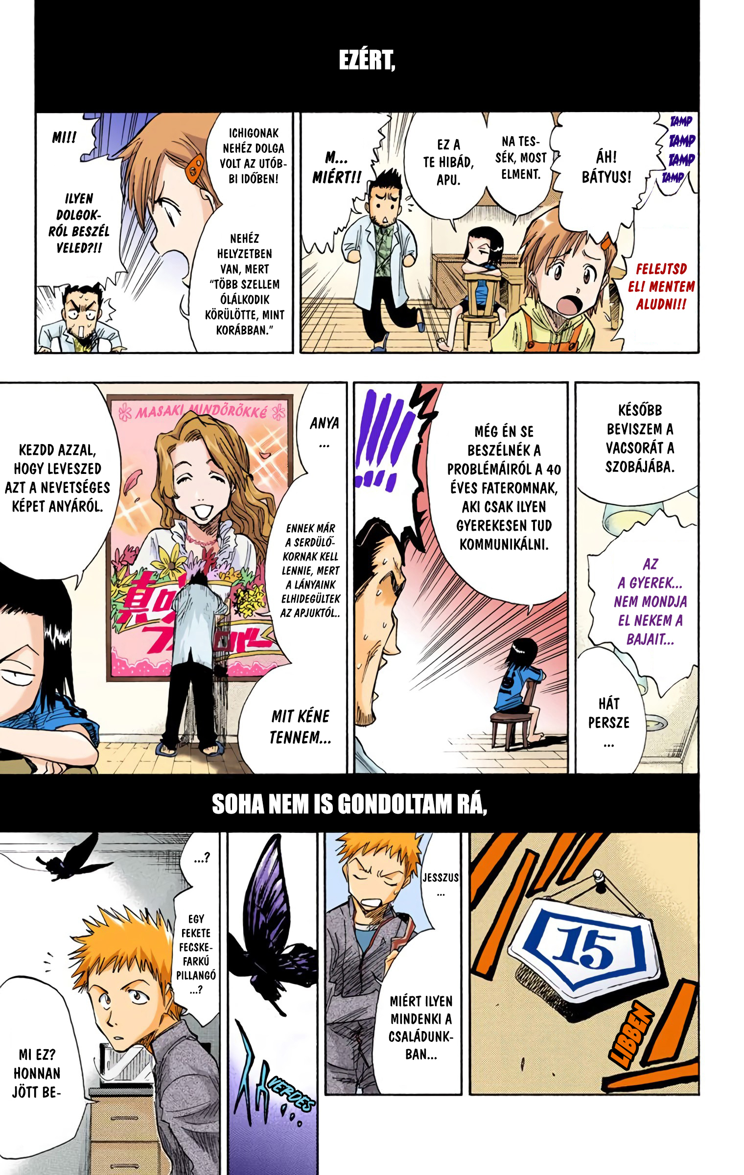 Bleach (Official Colored) Halál&Eper 第15页