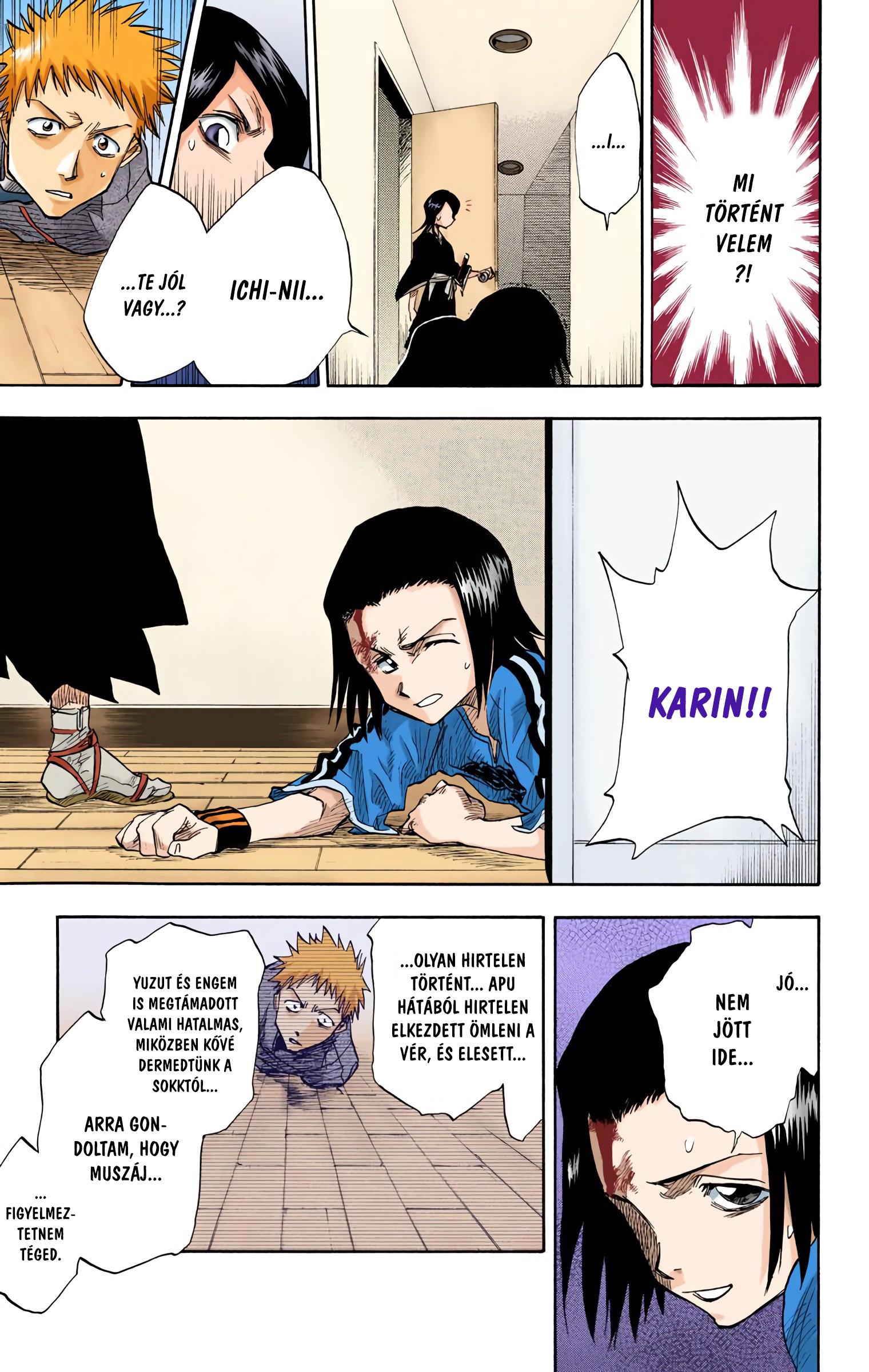 Bleach (Official Colored) Halál&Eper 第29页