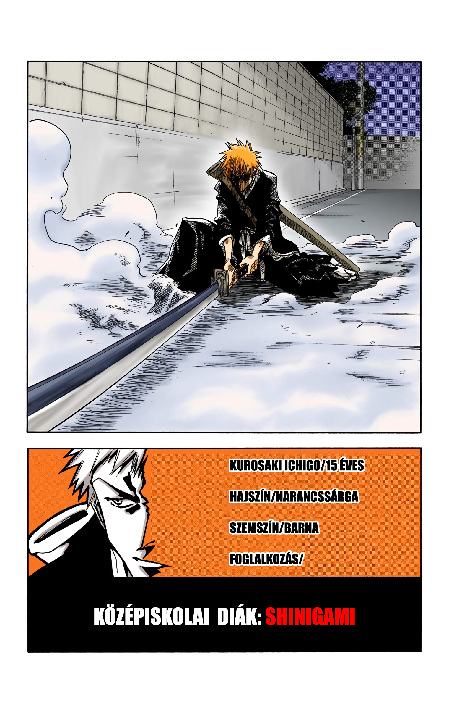 Bleach (Official Colored) Halál&Eper 第59页