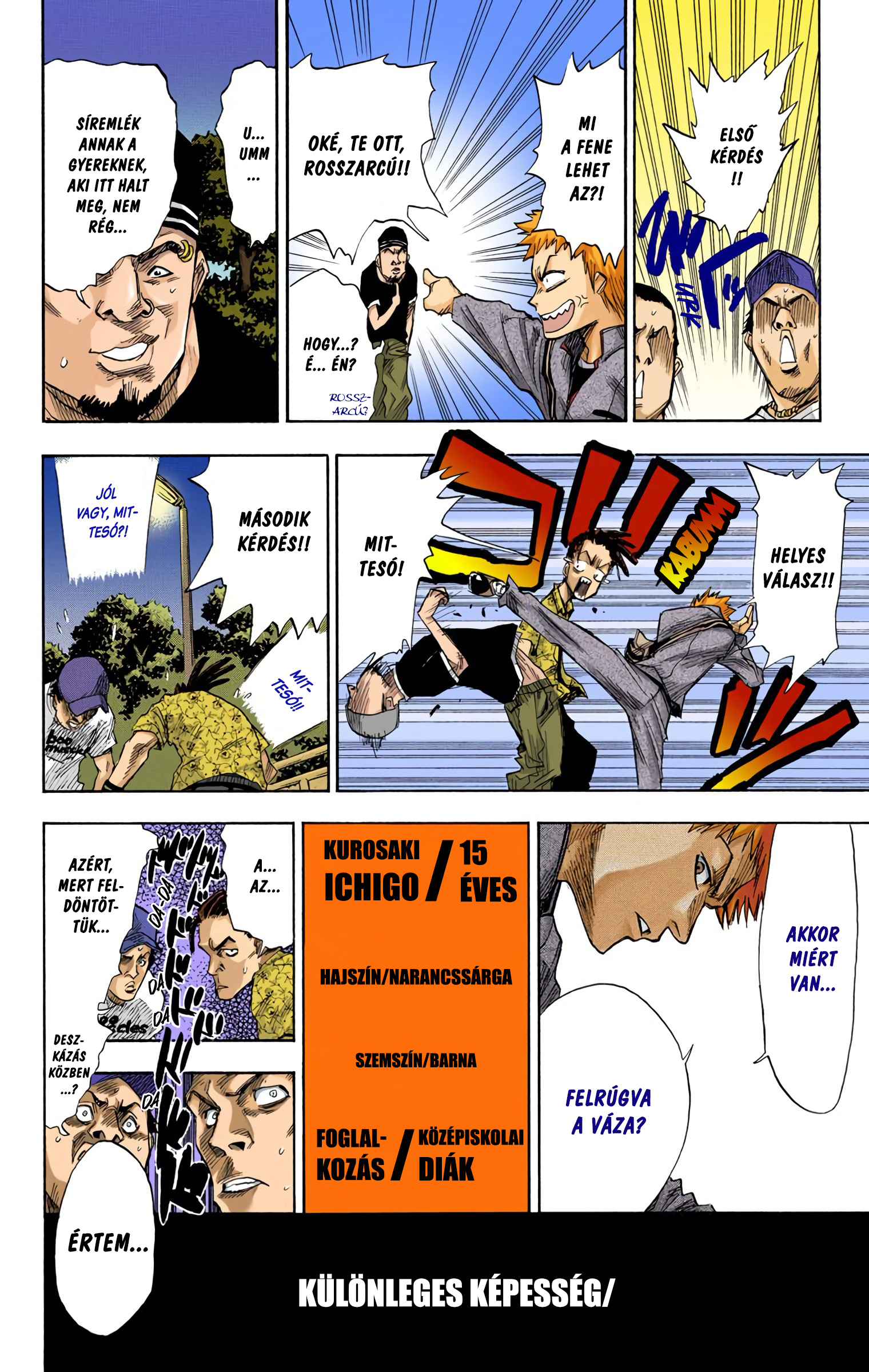 Bleach (Official Colored) Halál&Eper 第10页