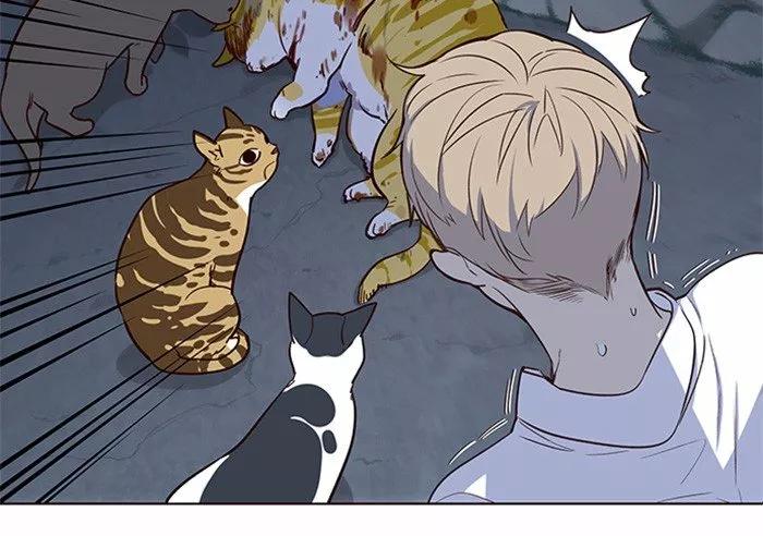 Eleceed Ch. 1 第54页