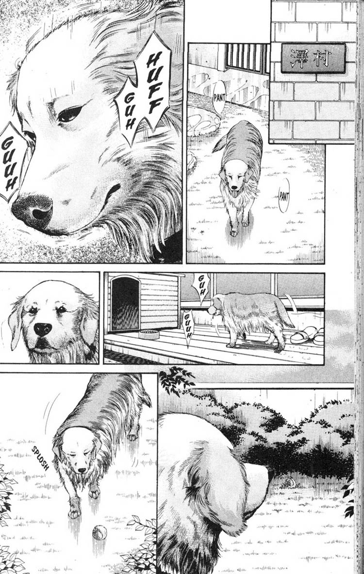 Inubaka What The Dog Taught Me 第10页