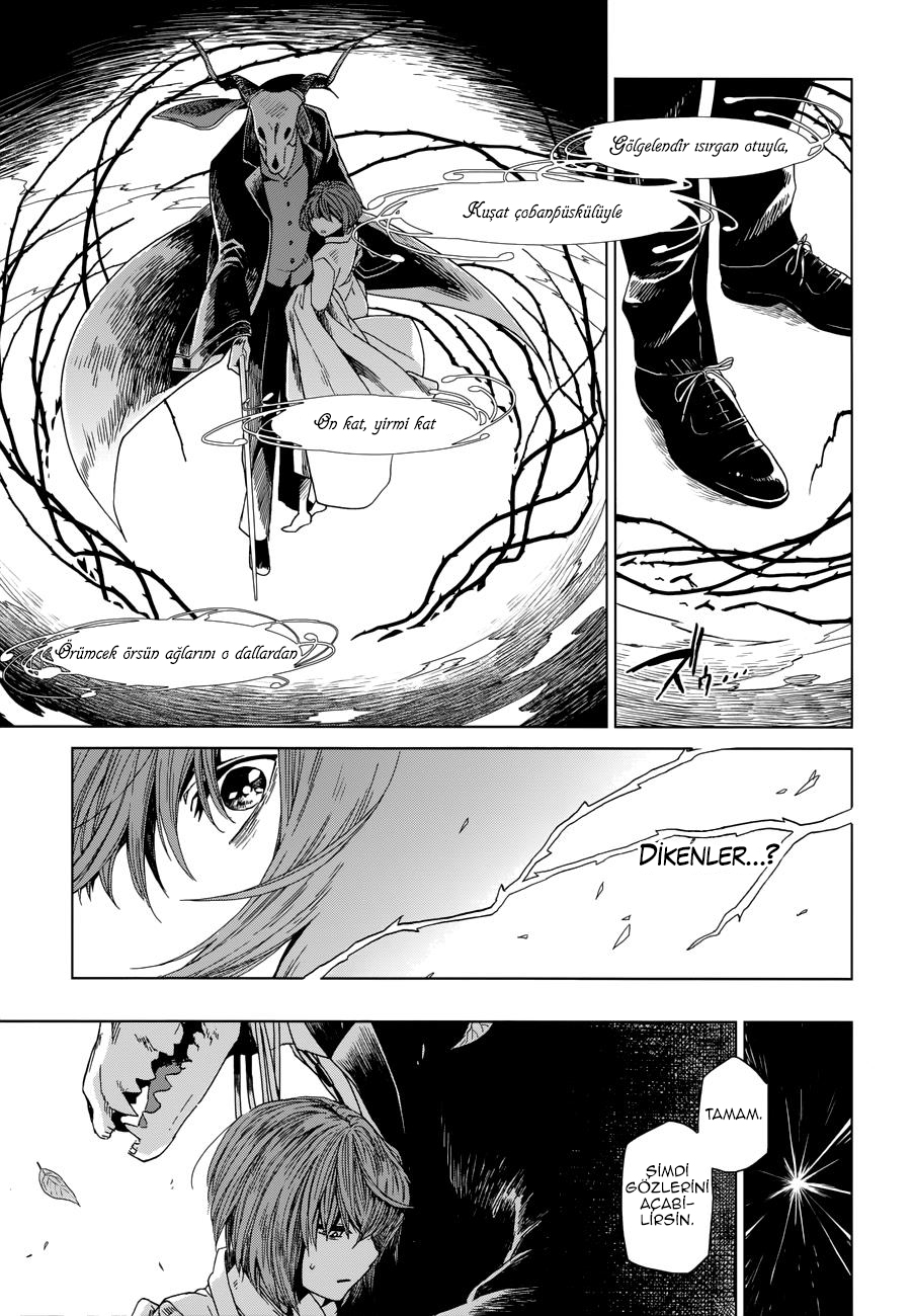 The Ancient Magus' Bride Nisan Yağmurları Mayıs Çiçeklerini Getirir 第19页