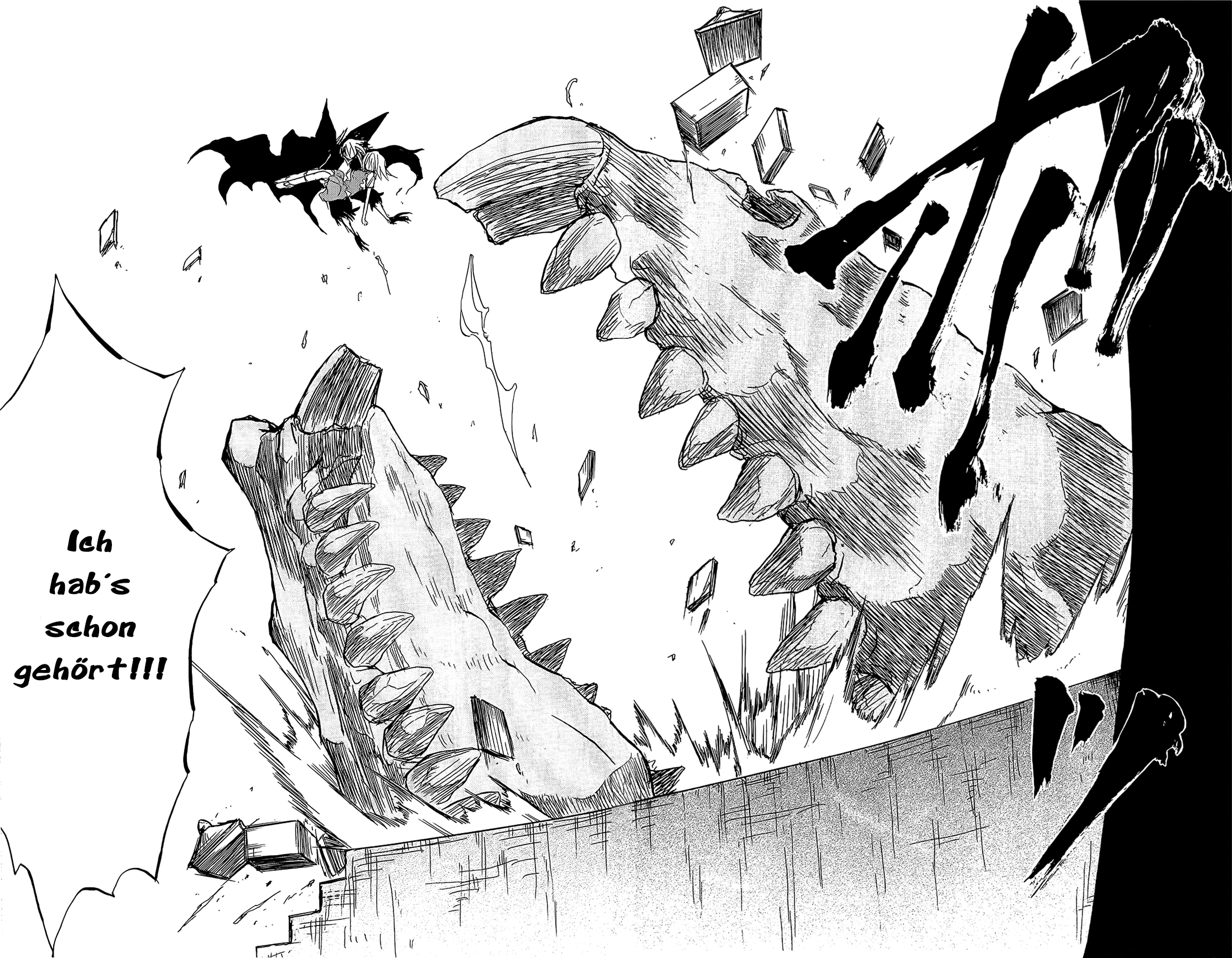 Cerberus Ertrage es, schreite vorran 第15页