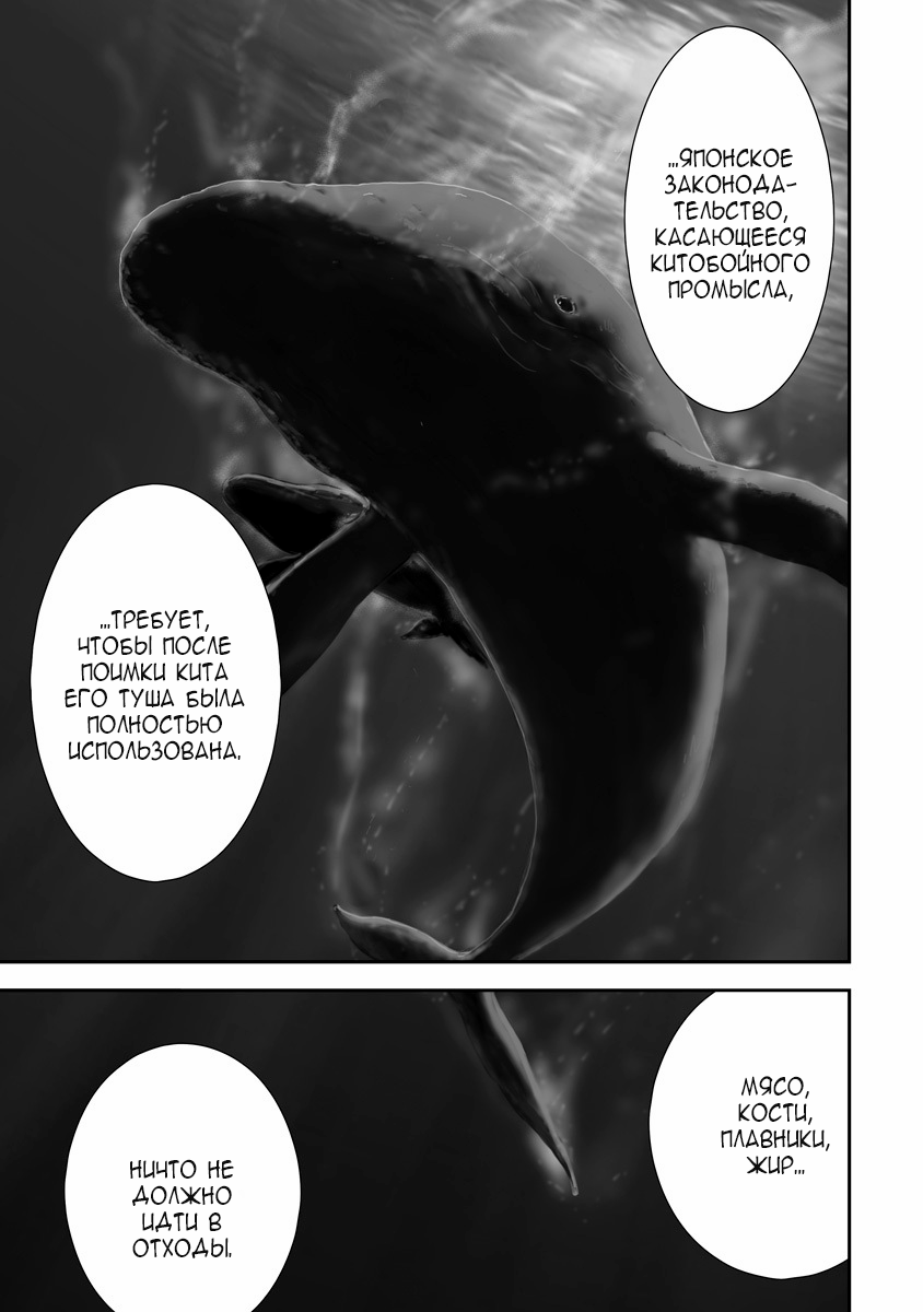 Gift± Кит 第5页