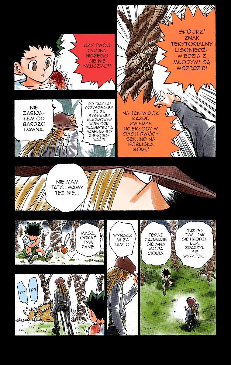 Hunter x Hunter (Official Colored) Dzień wyjazdu 第19页