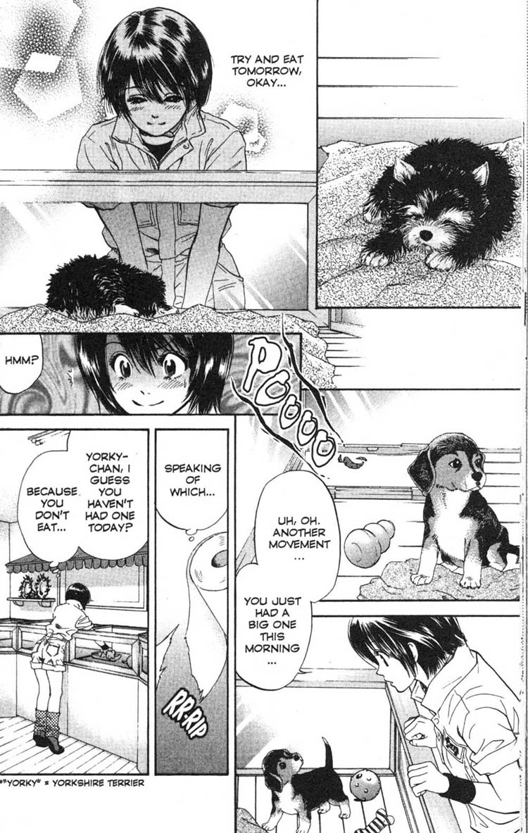 Inubaka Which One Tastes The Best? 第14页