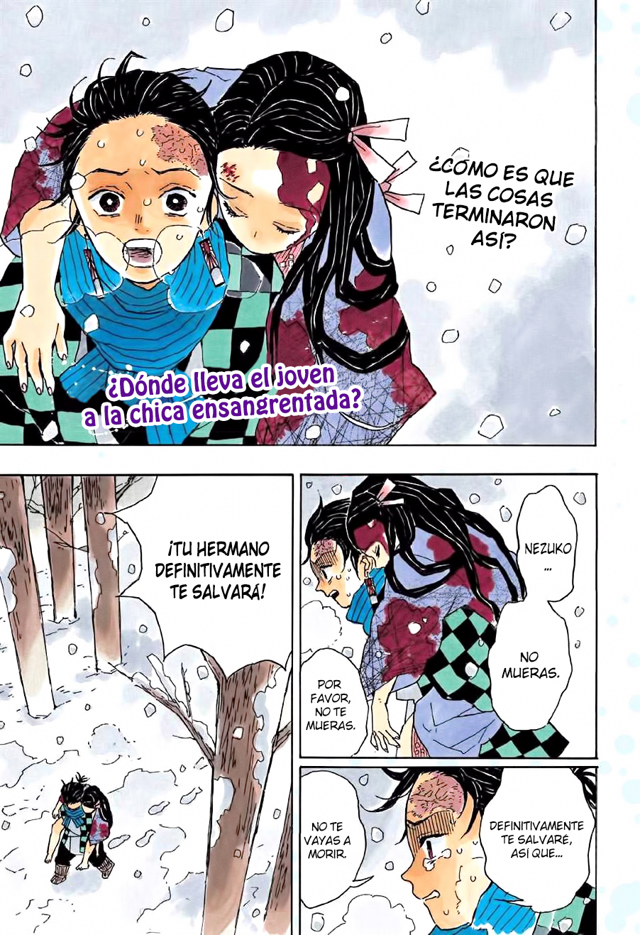 Demon Slayer: Kimetsu no Yaiba 第2页