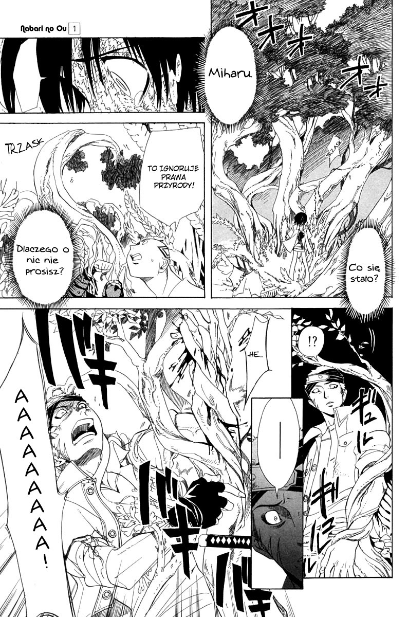 Nabari no Ou Przysięga krwi 第7页