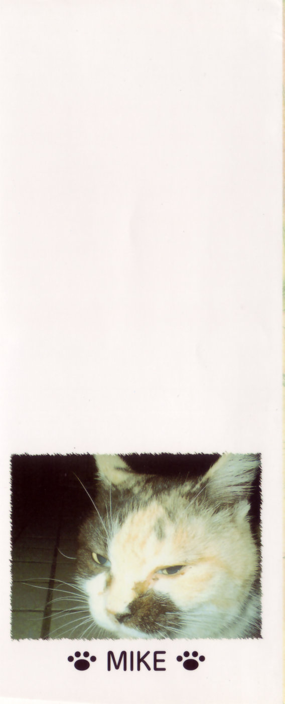 Sketchbook 第4页