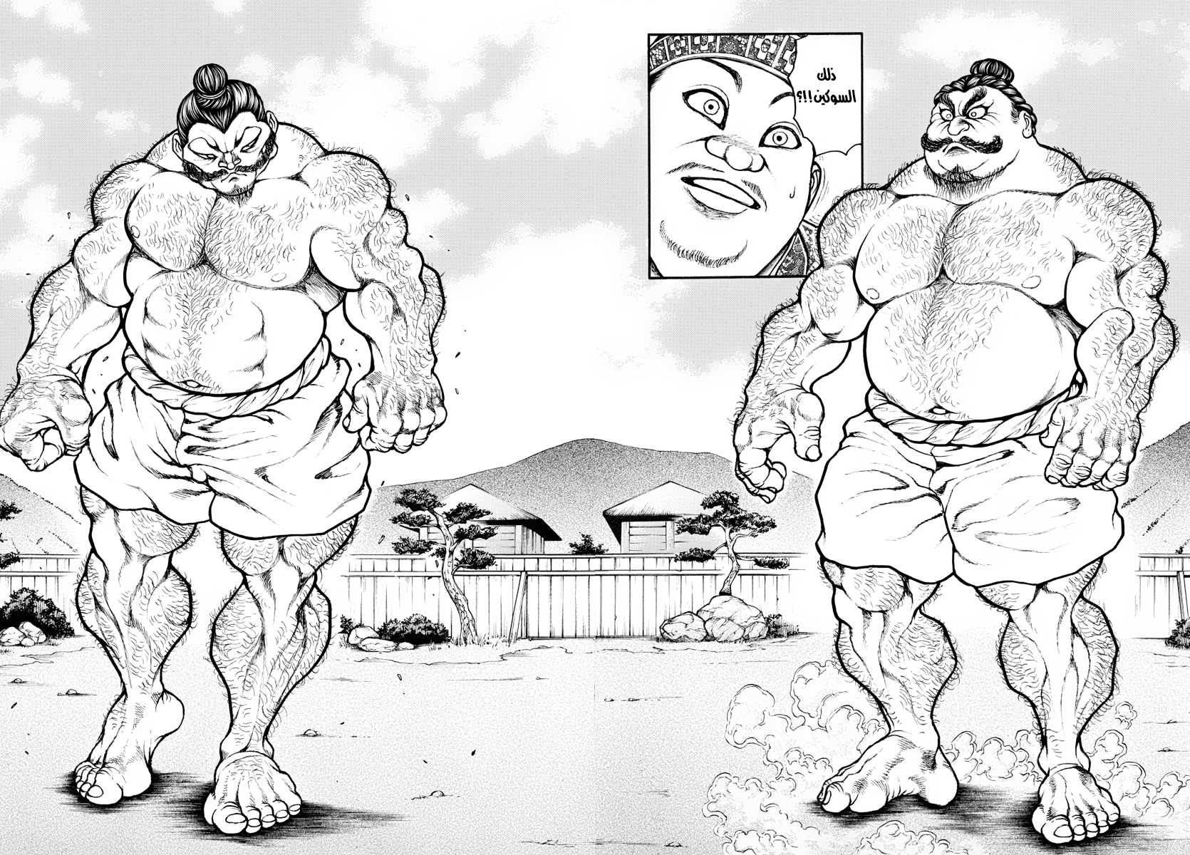 Bakidou اله السومو 第21页