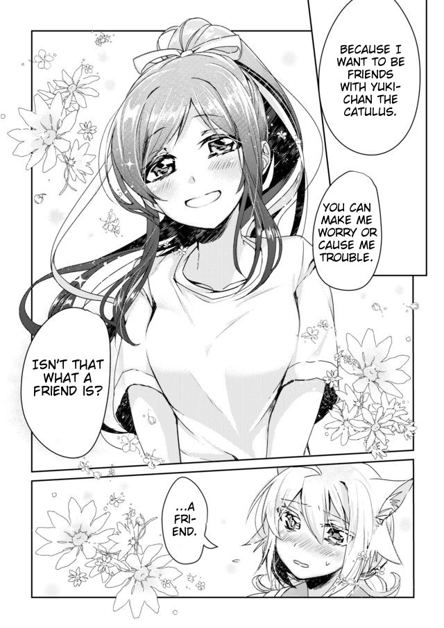 Catulus Syndrome Friend Problem 第17页