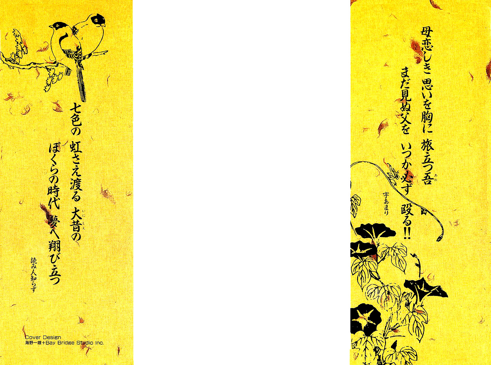 Nijiiro Togarashi Os Irmões da Aldeia Karakuri 第2页