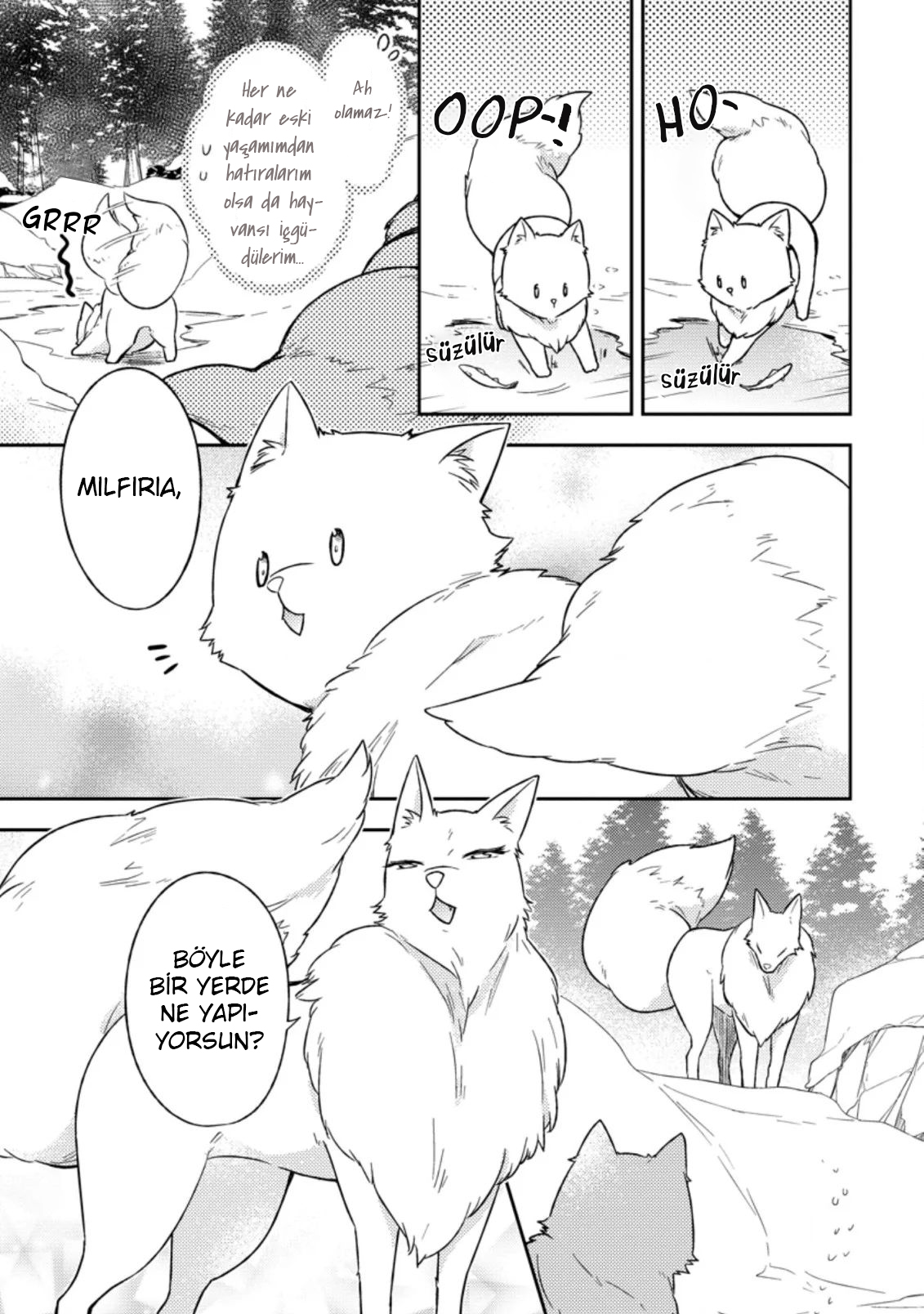 Kita no Toridenite 第5页
