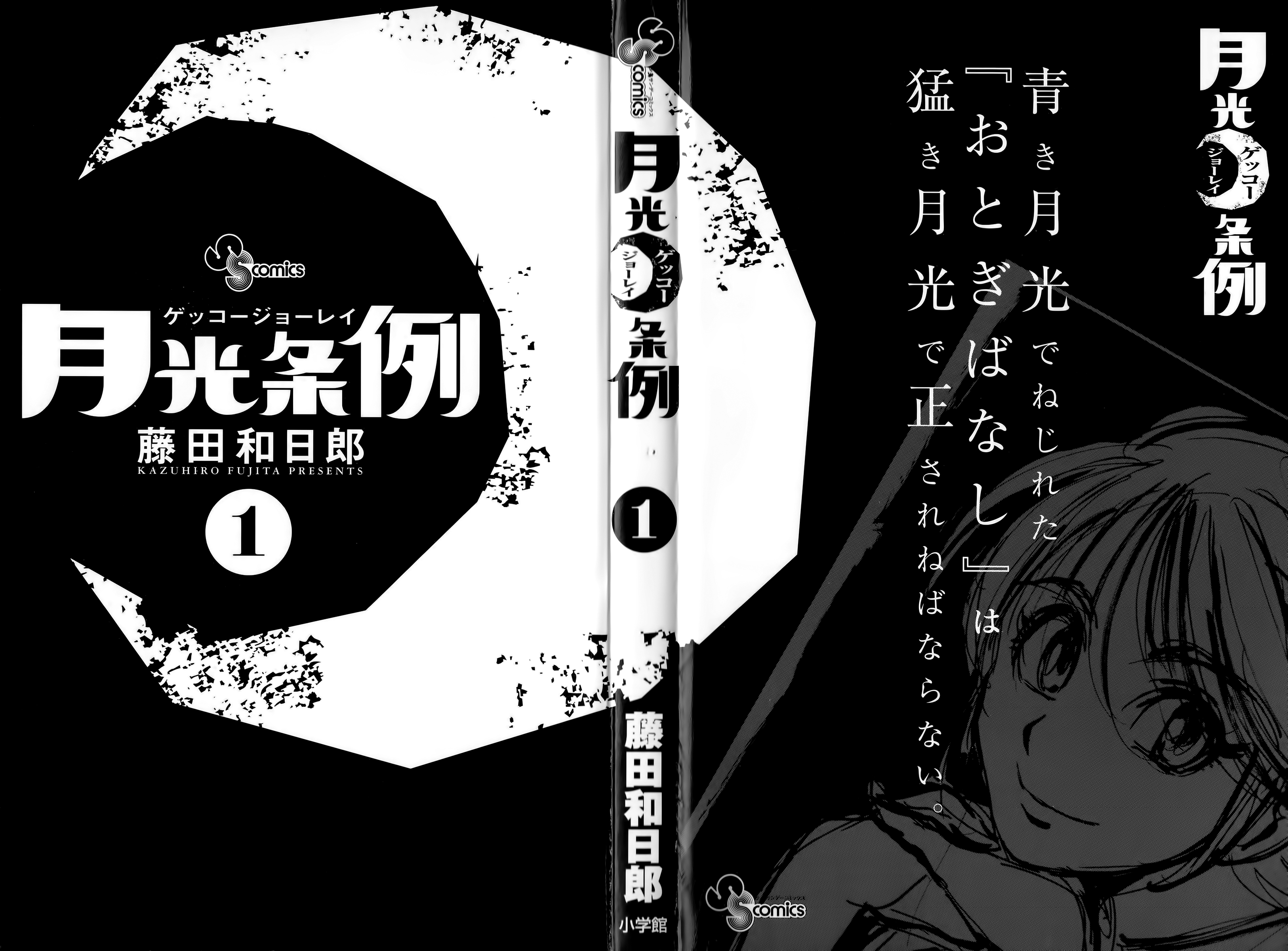 Moonlight Act Article 1 - The Purpose of the Act Part 01 - Moonstrike 第3页