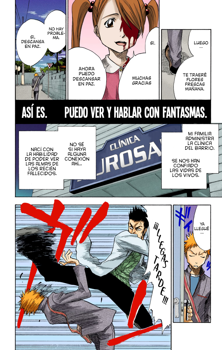 Bleach (Official Colored) La muerte y la fresa 第11页