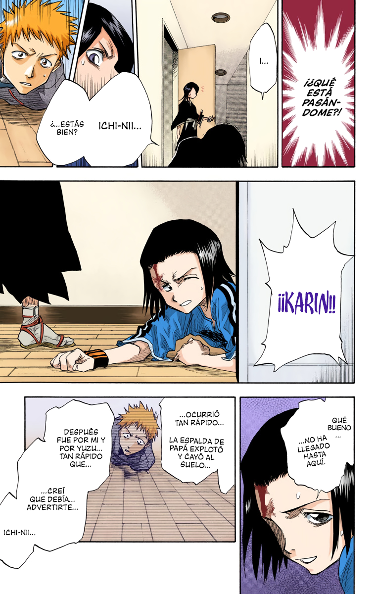 Bleach (Official Colored) La muerte y la fresa 第28页