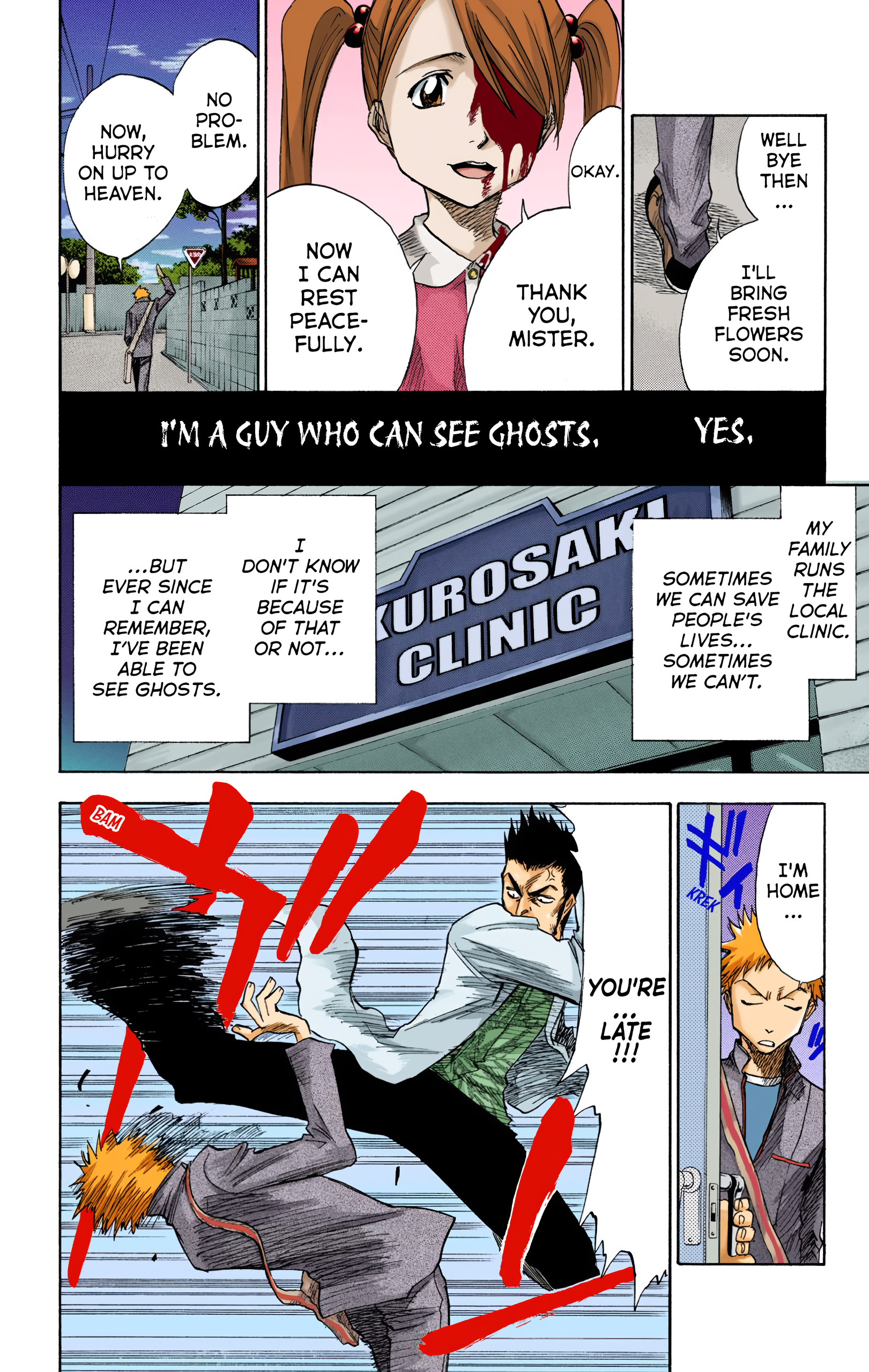 Bleach (Official Colored) Death & Strawberry 第12页