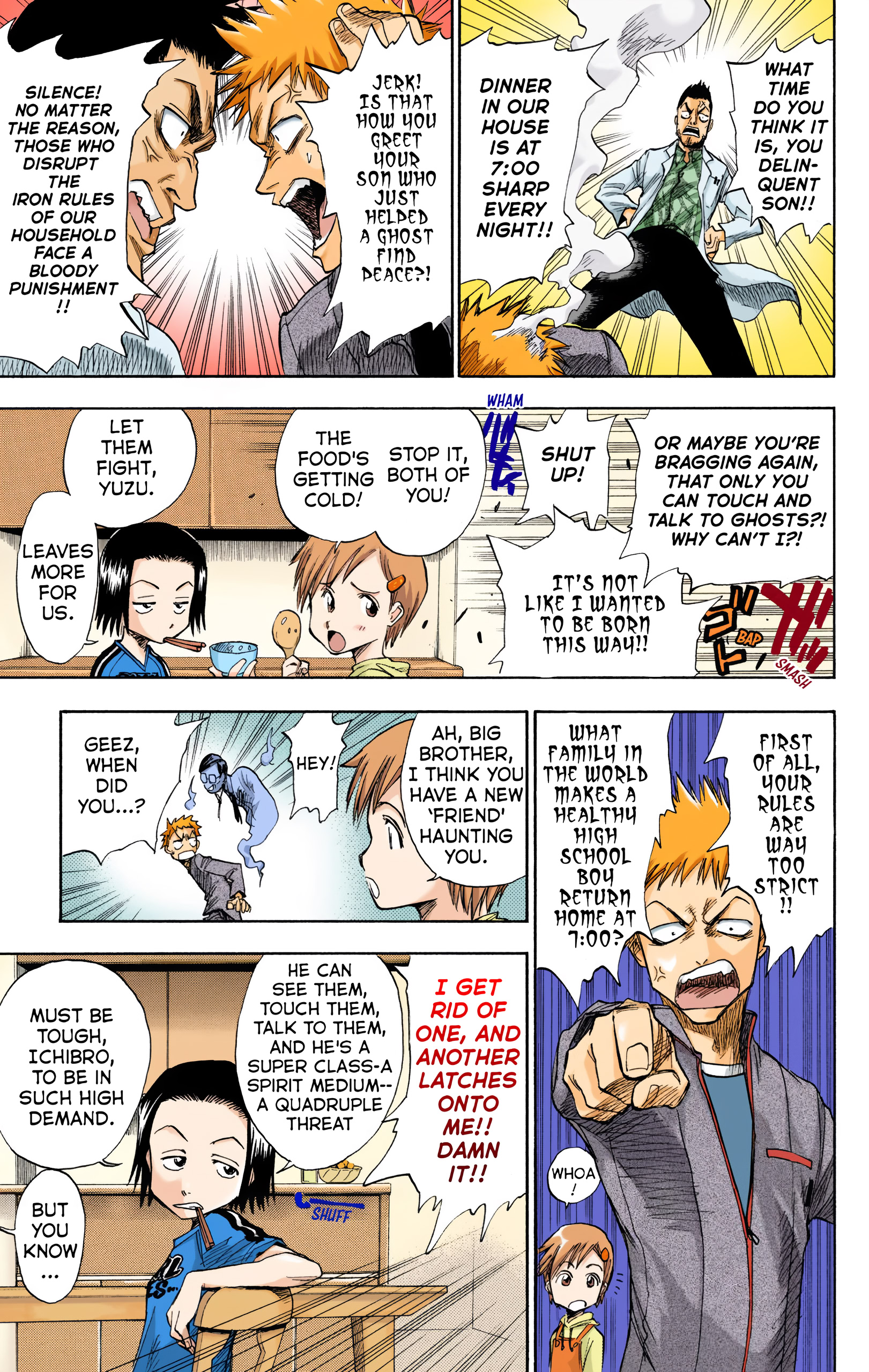 Bleach (Official Colored) Death & Strawberry 第13页