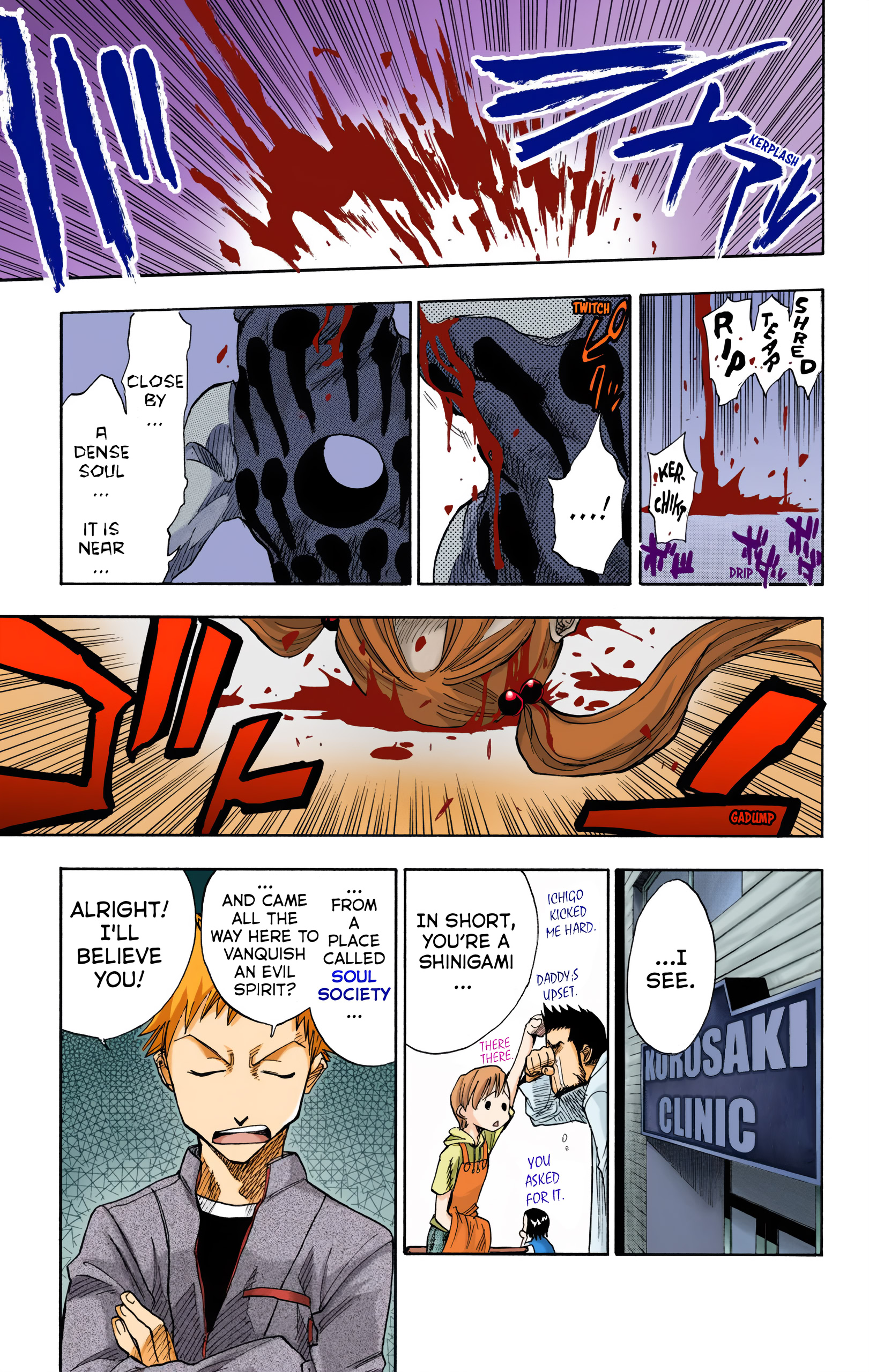 Bleach (Official Colored) Death & Strawberry 第19页
