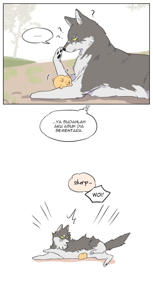 The Wolf That Picked Something Up Ch. 3 第14页