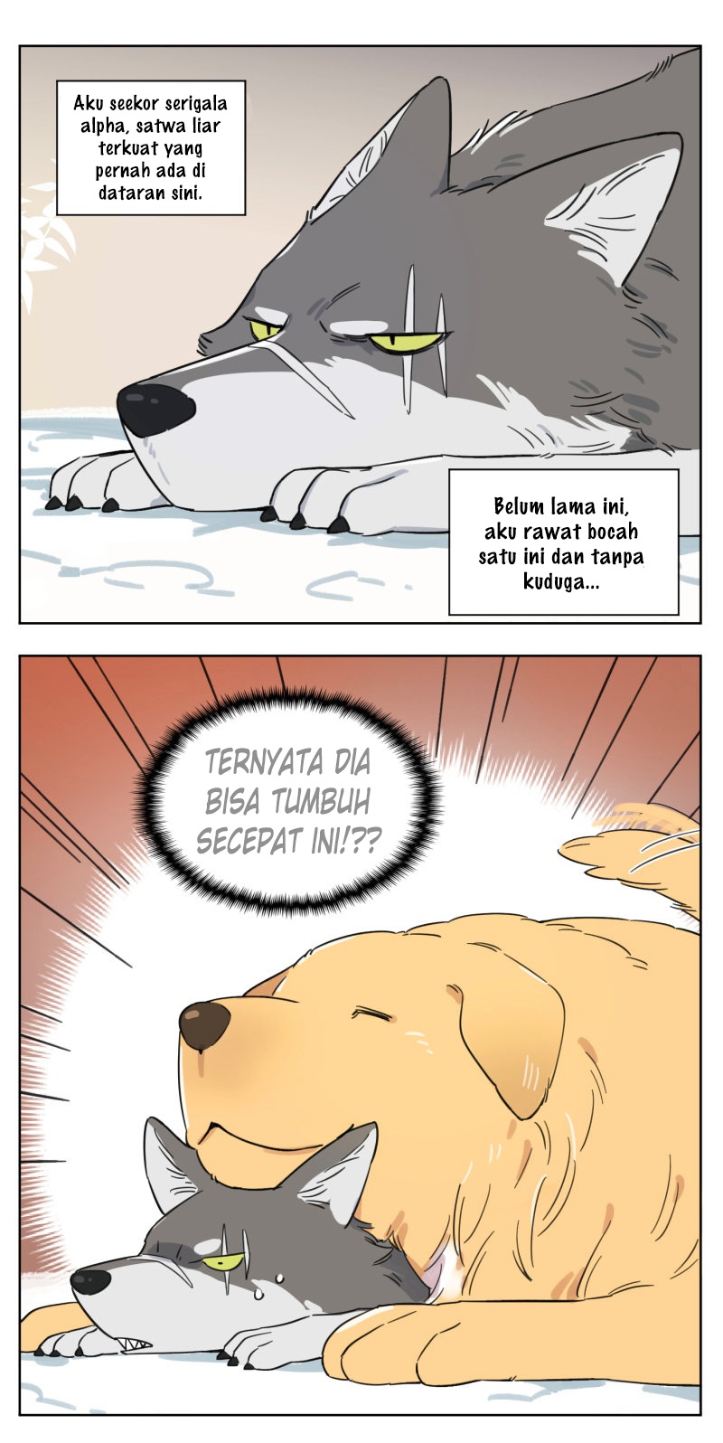 The Wolf That Picked Something Up Ch. 2 第4页